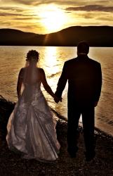 Wedding Reception in our yard