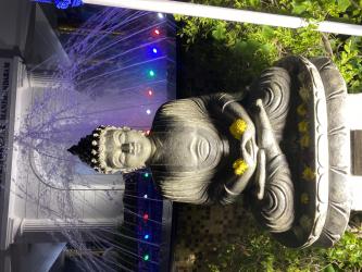 Feeling like to donate