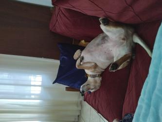 Quando tirar meu utero kkkkk