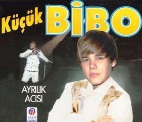 bibo anam bibo