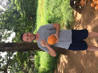 King coconut in Sri Lanka: