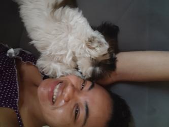 Minha filha de 4 patas