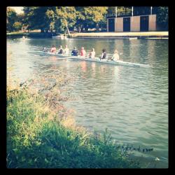 Rowed in college