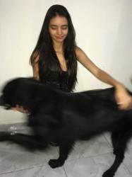 Natural Hair / love pet