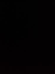 Sperm doner young and health