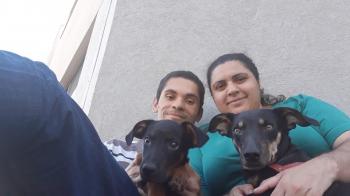 eu meu marido e meus cachorros
