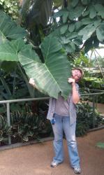 botanical gardens brisbane