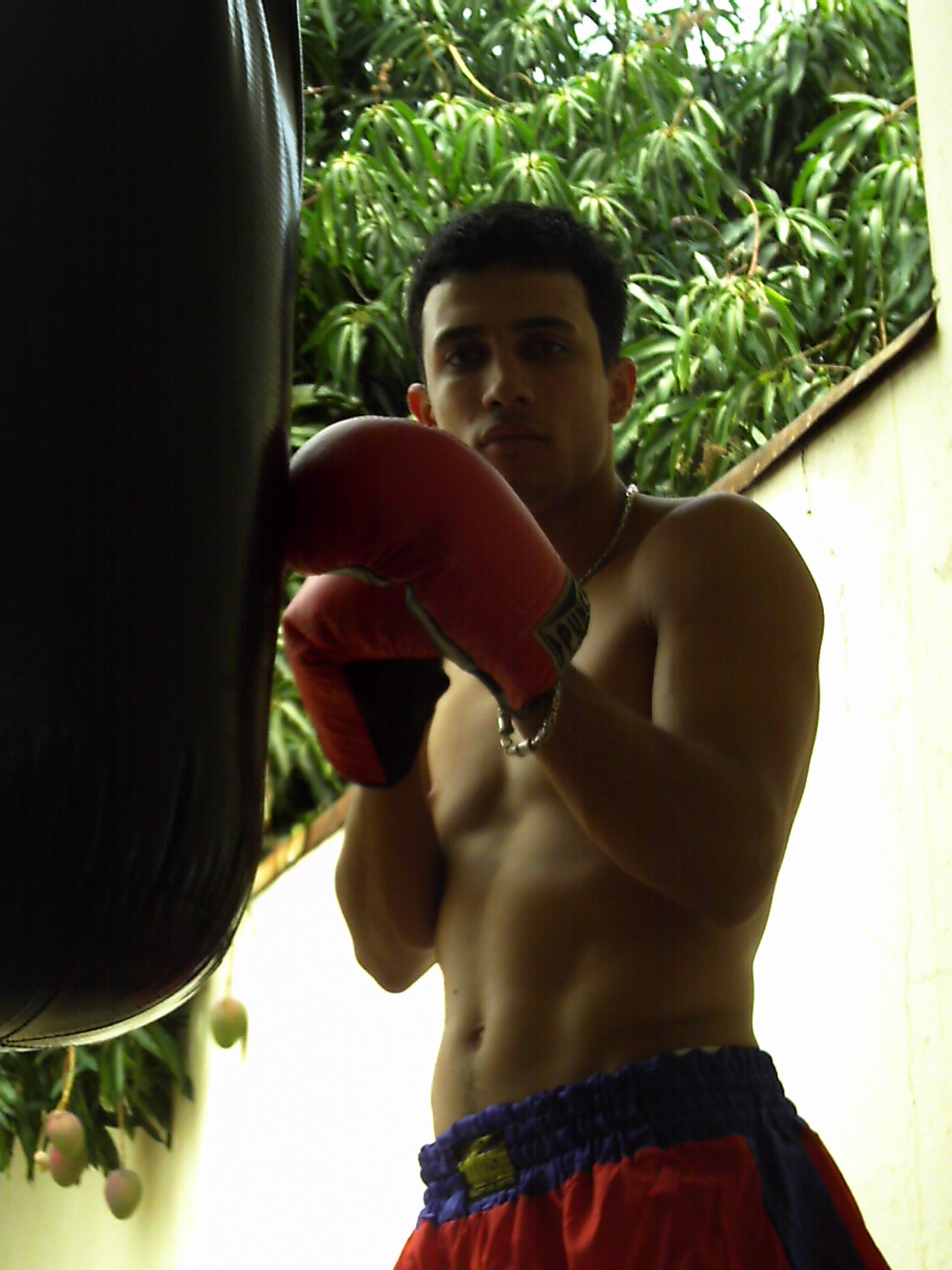 Jonata Bruno P******